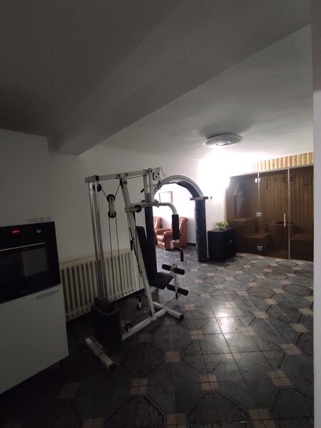 Dristor, vila-restaurant de lux, super solara, cu lift, piscina si crama