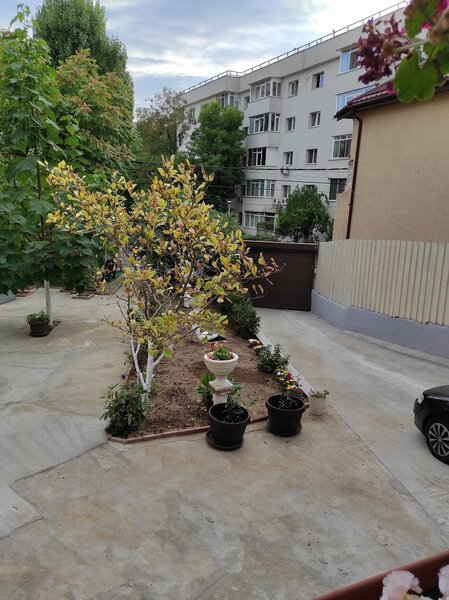 Dristor, vila-restaurant de lux, super solara, cu lift, piscina si crama